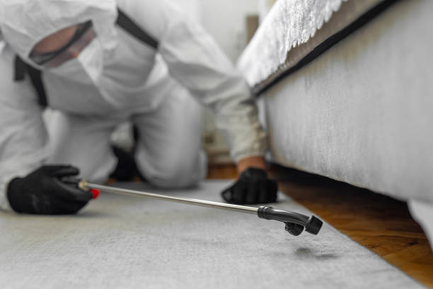 Professional Termite Control technician working in Elmore, OH