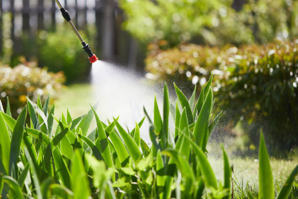 24/7 Emergency Termite Control experts in Elmore, OH