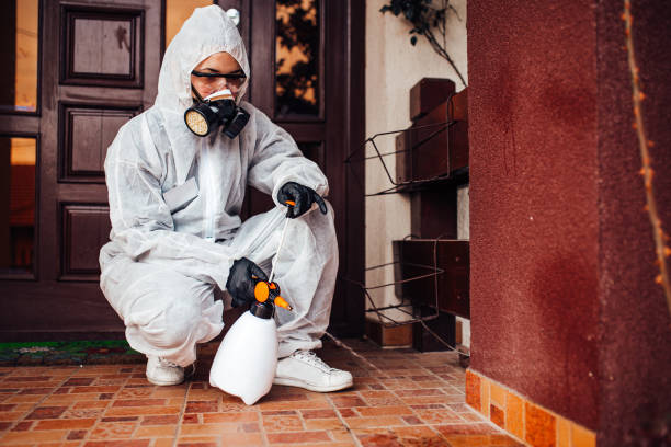 Reliable Termite Control contractor in Elmore, OH by Nex Pest Control